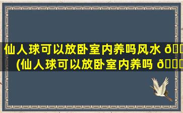 仙人球可以放卧室内养吗风水 🌷 (仙人球可以放卧室内养吗 🍁 风水好吗)